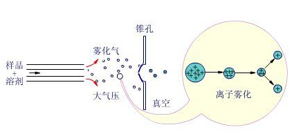 质谱仪,质谱,要求,部分,色谱,